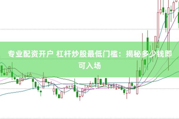 专业配资开户 杠杆炒股最低门槛：揭秘多少钱即可入场