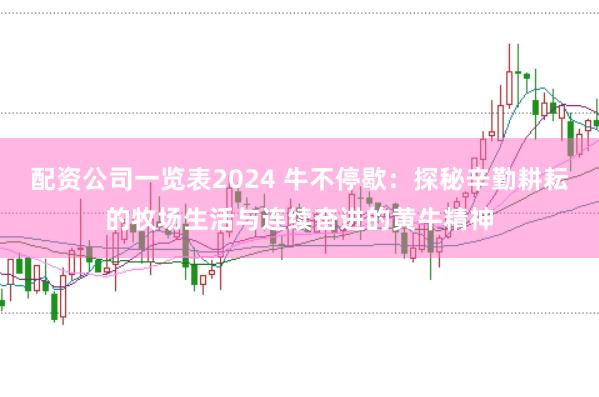 配资公司一览表2024 牛不停歇：探秘辛勤耕耘的牧场生活与连续奋进的黄牛精神