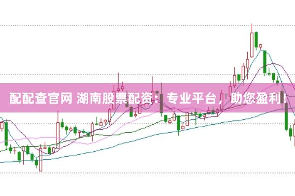 配配查官网 湖南股票配资：专业平台，助您盈利！