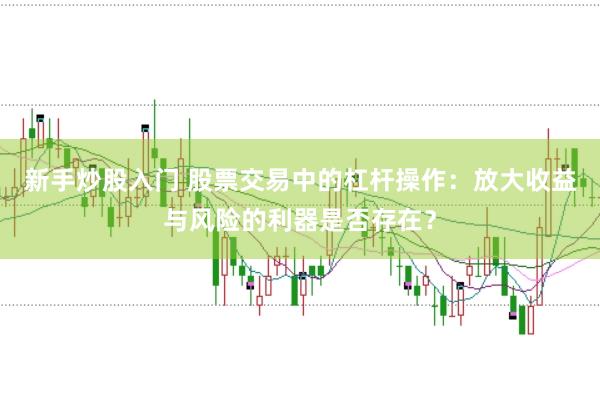 新手炒股入门 股票交易中的杠杆操作：放大收益与风险的利器是否存在？