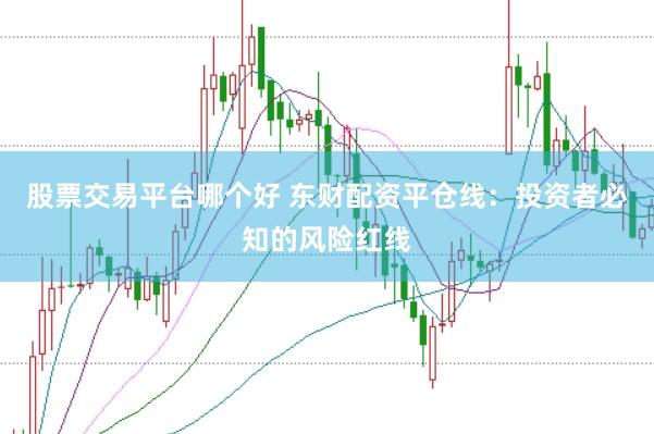 股票交易平台哪个好 东财配资平仓线：投资者必知的风险红线