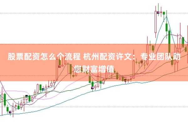 股票配资怎么个流程 杭州配资许文：专业团队助您财富增值