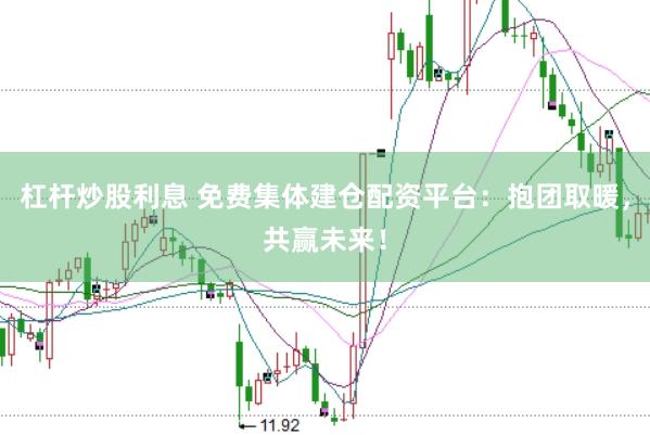 杠杆炒股利息 免费集体建仓配资平台：抱团取暖，共赢未来！