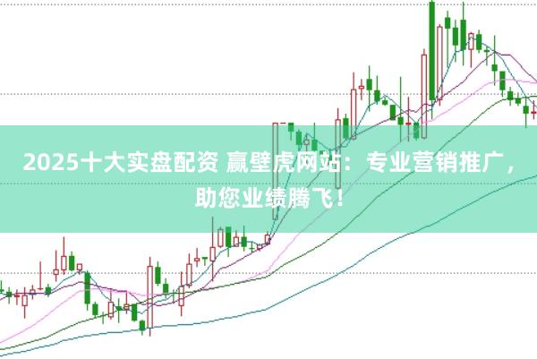 2025十大实盘配资 赢壁虎网站：专业营销推广，助您业绩腾飞！