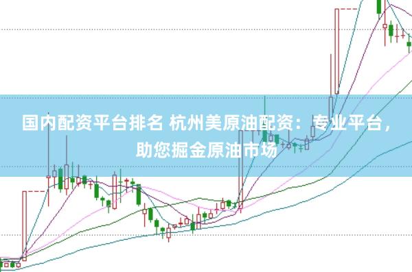 国内配资平台排名 杭州美原油配资：专业平台，助您掘金原油市场