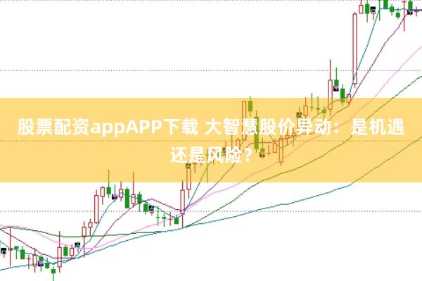 股票配资appAPP下载 大智慧股价异动：是机遇还是风险？