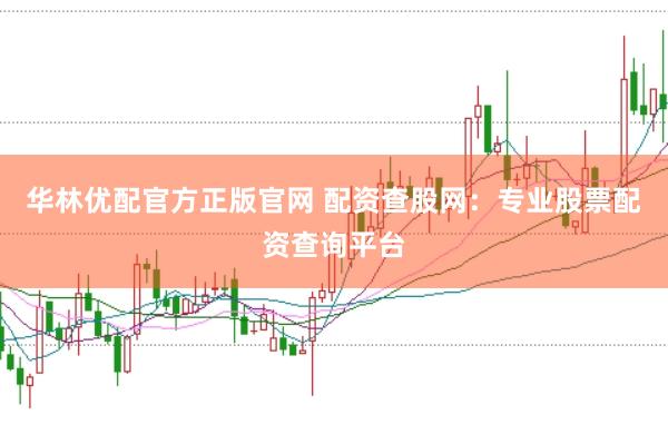 华林优配官方正版官网 配资查股网：专业股票配资查询平台