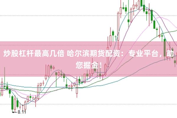炒股杠杆最高几倍 哈尔滨期货配资：专业平台，助您掘金！