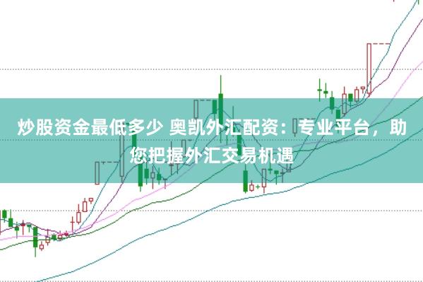 炒股资金最低多少 奥凯外汇配资：专业平台，助您把握外汇交易机遇