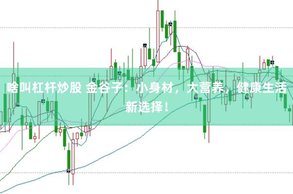啥叫杠杆炒股 金谷子：小身材，大营养，健康生活新选择！