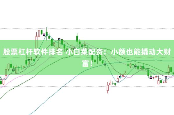 股票杠杆软件排名 小白菜配资：小额也能撬动大财富！