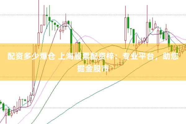 配资多少爆仓 上海股票配资梓：专业平台，助您掘金股市