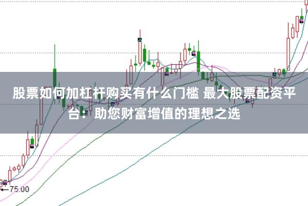股票如何加杠杆购买有什么门槛 最大股票配资平台：助您财富增值的理想之选
