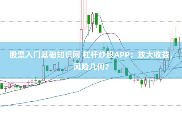 股票入门基础知识网 杠杆炒股APP：放大收益，风险几何？
