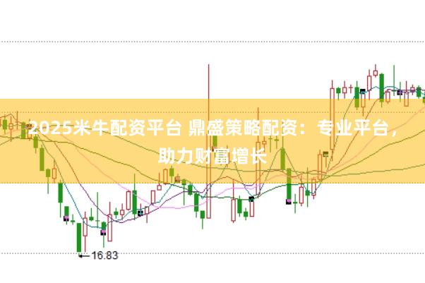 2025米牛配资平台 鼎盛策略配资:专业平台,助力财富增长