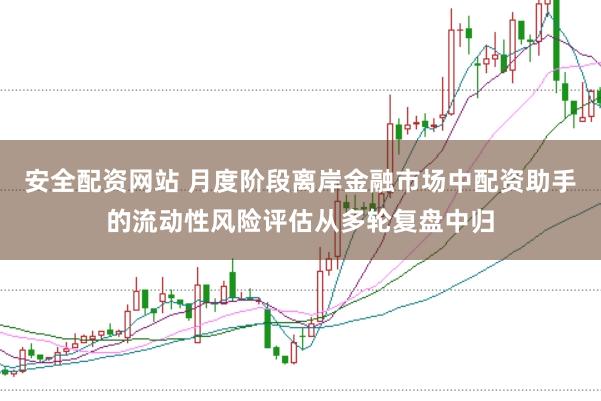 安全配资网站 月度阶段离岸金融市场中配资助手的流动性风险评估从多轮复盘中归