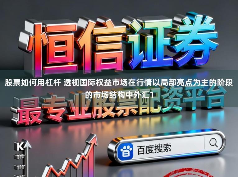 股票如何用杠杆 透视国际权益市场在行情以局部亮点为主的阶段的市场结构中外汇1