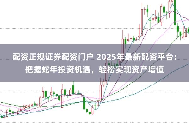 配资正规证券配资门户 2025年最新配资平台：把握蛇年投资机遇，轻松实现资产增值