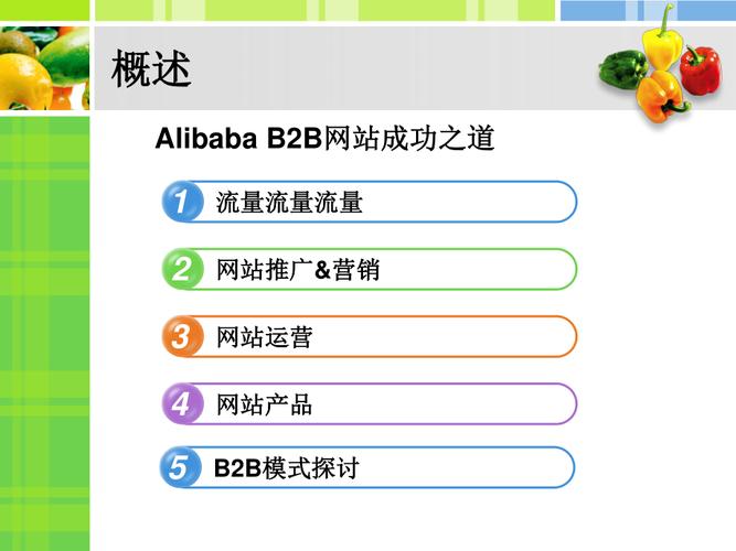alibabab2b网站推广运营及产品秘籍